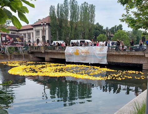 B365 Bucharest Duck Trophy Avem cursă de rățuște de cauciuc pe