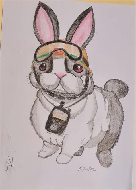 I drew rescue rabbit : r/yugioh