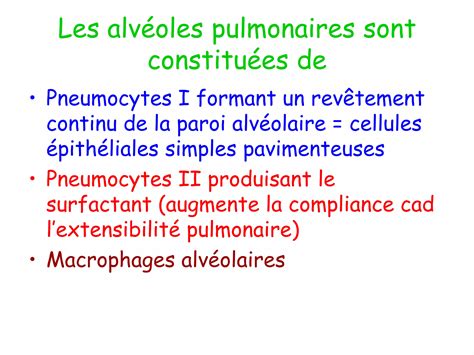 Anatomie Physiologie De Lappareil Respiratoire Ppt