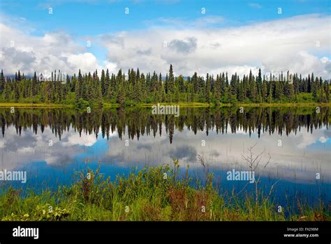 Alaska landscape in summer, USA Stock Photo - Alamy