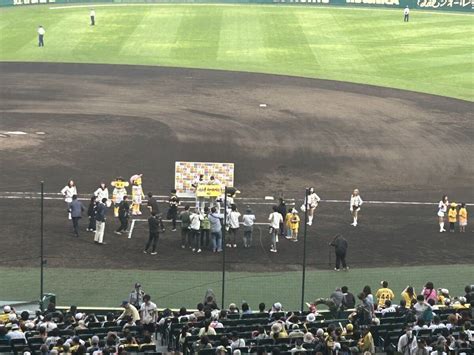 Yahooオークション 甲子園 阪神タイガースvs中日戦 6月27日木18 0