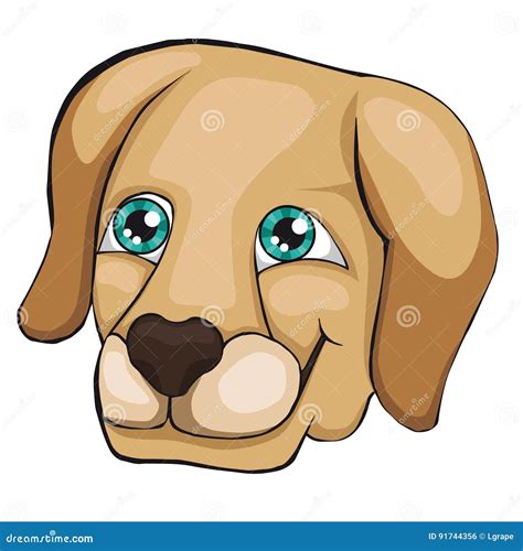 The Head Of The Labrador Retriever Clip Art For Children Stock Vector