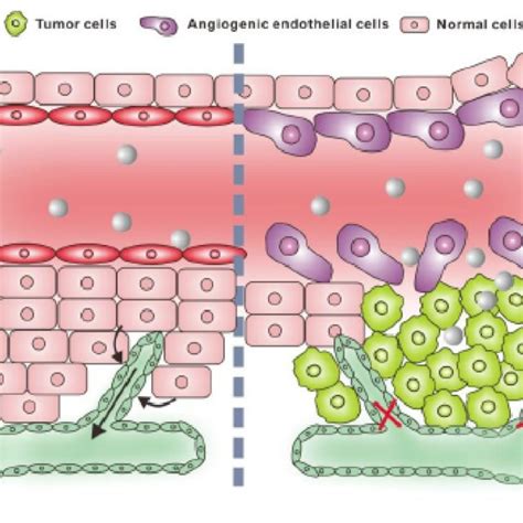 Schematic Illustration Of Representative Nanomaterial Based Drug Download Scientific Diagram