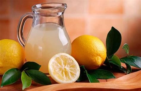 A Receita Para Fazer Uma Limonada Deliciosa E Variantes Not Cias