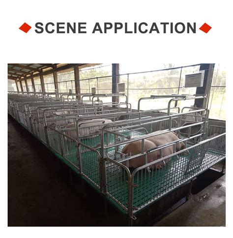 Units Sow Farrowing Crates Or Single Sow Farrowing Pen Bed Pig