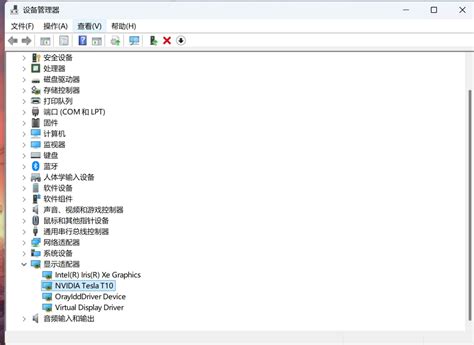 大船来活了，Tesla T10显卡值得折腾吗？ - 哔哩哔哩