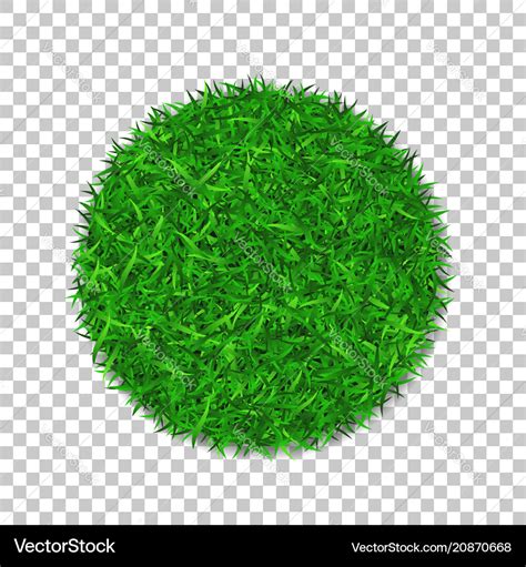 Grass Circle 3d Green Plant Grassy Round Field Vector Image