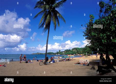 Tartane beach Tartane Caravelle Peninsula Martinique Stock Photo - Alamy