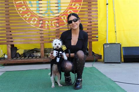 Melrose Trading Post | Dog Costume Contest Winners!