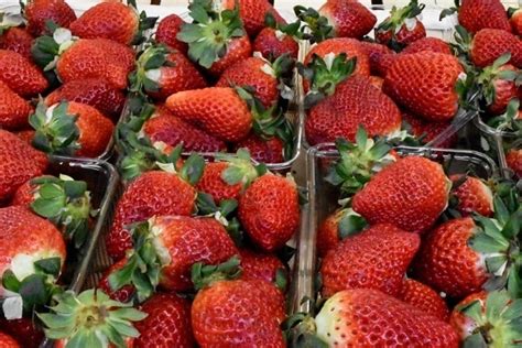 Image libre: délicieux, fraise, Berry, fruits, alimentaire, fraises