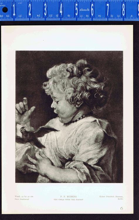 Child With The Parrot Or Bird Peter Paul Rubens 1939 Rotogravure Ebay