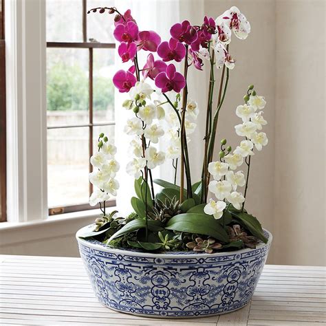 Blue And White Chinoiserie Planter Ballard Designs Blue And White