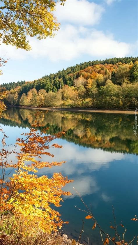 Wzgórza nad rzeką Tapeta na telefon