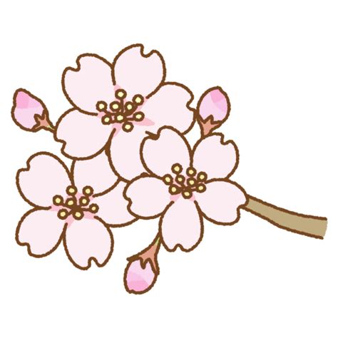 桜のイラスト 商用okの無料イラスト素材サイト ツカッテ