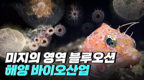 핫클립 해양 바이오산업이 블루오션인 이유 Ytn 사이언스 Youtube