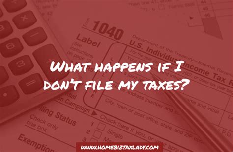 What Happens If I Don’t File My Taxes Home Biz Tax Lady