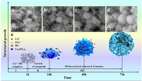 Figure From Biocatalyst And Colorimetric Fluorescent Dual Biosensors