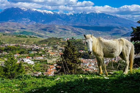 Albanien - Ein echter Geheimtipp | Urlaubsguru.de