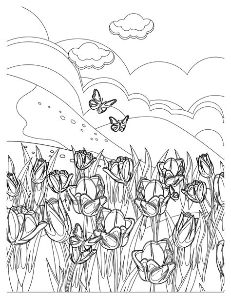 Meadow Bloom Coloring Pages: Creative Nature Designs for All