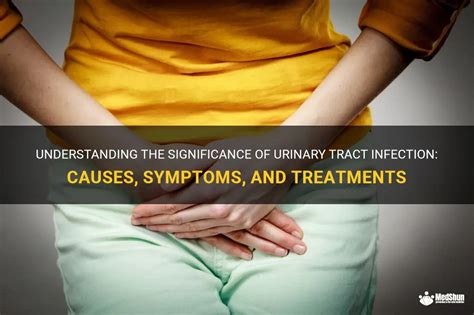 Understanding The Significance Of Urinary Tract Infection Causes Symptoms And Treatments