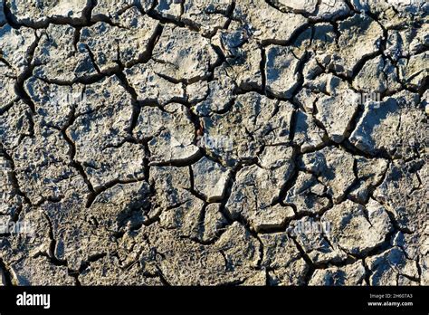 cracked dry mud stock photo alamy