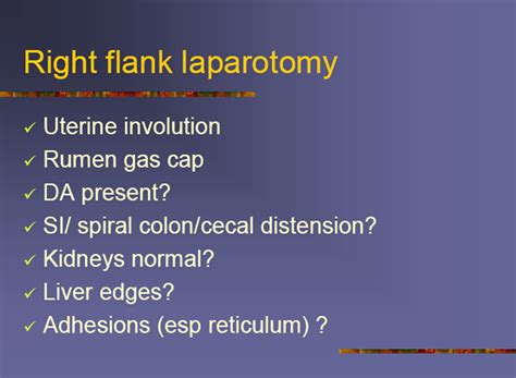 Exploratory Laparotomy