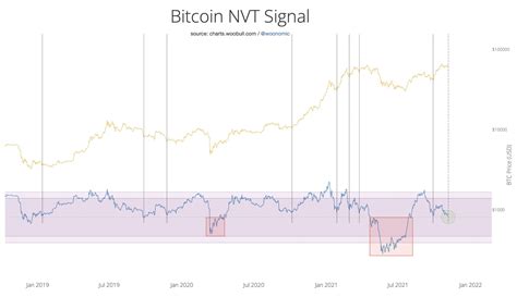 On Chain Analyst Willy Woo Reveals One Signal That He Says Historically