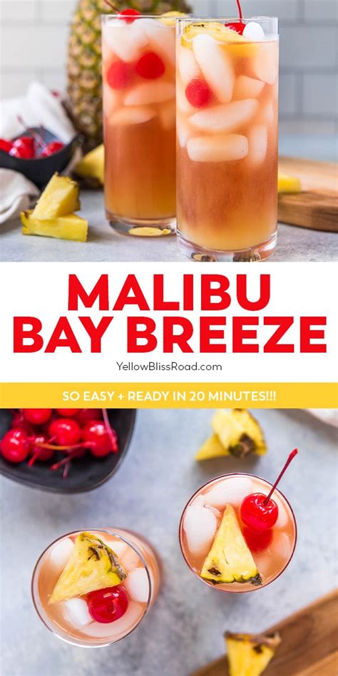 25 Malibu Bay Breeze Recipes Ammarazubin