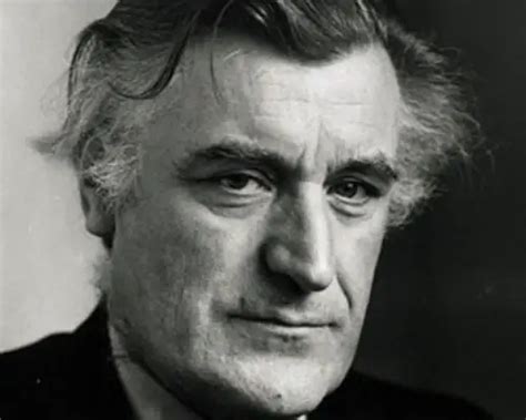 10 Interesting Ted Hughes Facts My Interesting Facts