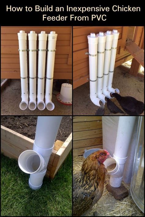 This Chicken Feeder Is Easy To Fill Hard To Spill Safe From Non