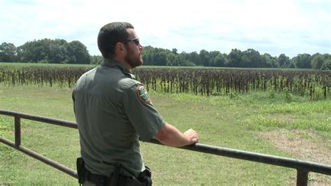 TWRA officers prepare for small game hunting season - WBBJ TV