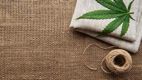 USA HEMP Brasil Você sabia que a cannabis também está na indústria