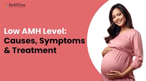 Low AMH Level Causes Symptoms Treatment