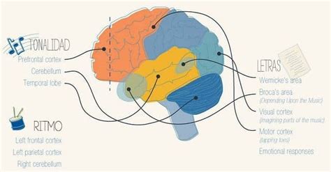 Qué Impacto Tiene La Música En Tu Cerebro Psicologistica