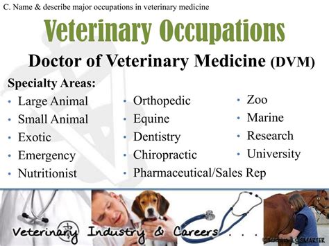 Ppt Veterinary Industry And Careers Powerpoint Presentation Free