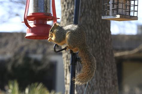 garden0106_3 | Beulah Acres