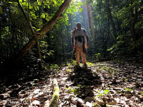 African Conservation Foundation On Twitter Rt 300 Gorillas Award Winning Conservation Leader