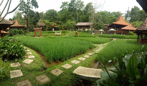 Tempat Makan Dengan Pemandangan Sawah Di Bogor