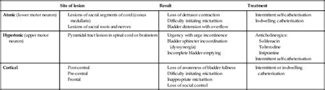 Neurological Disease Basicmedical Key