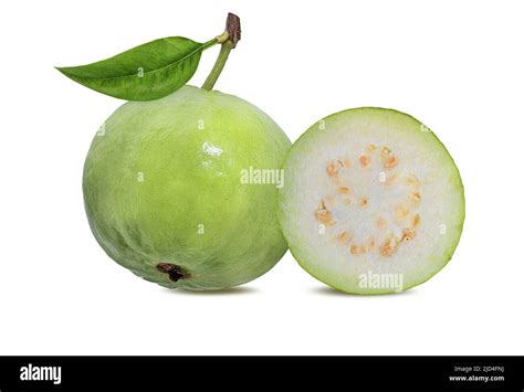 Guava Isolated On White Background Stock Photo Alamy