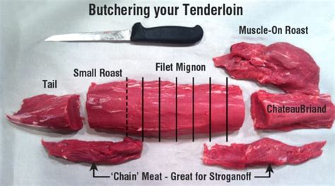 Best Cuts Of Beef Tenderloin Hot Sex Picture