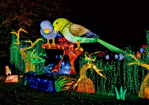 Wild Lanterns At Woodland Park Zoo Is A Mesmerizing Illuminated