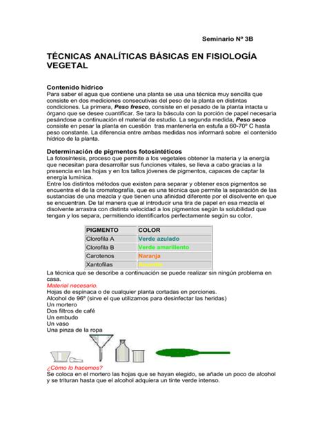 T Cnicas Anal Ticas B Sicas En Fisiolog A Vegetal