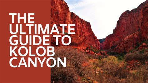 Explore Hidden Kolob Canyons at Zion National Park!