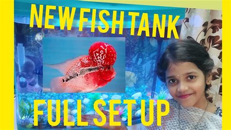 How To Setup New Aquarium Fish Tank Decoration Fish Tank Setup