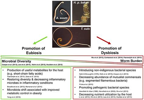 Frontiers Reciprocal Interactions Between Nematodes And Their