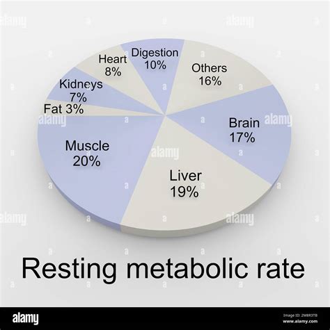 Metabolic Rate