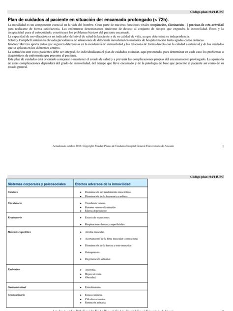 Pdf Plan De Cuidados Al Paciente Encamado Pdf Dokumen Tips