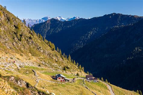 Energia E Natura Trekking E Passeggiate Val Madre Valtellina