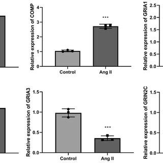 The Verification Of Hub Gene Expression In AF Cell Model By QRT PCR